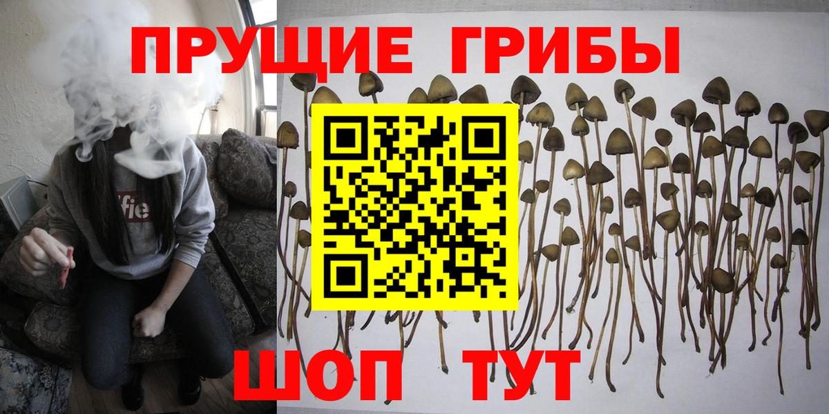 Псилоцибиновые грибы Psilocybe  Вход с VPN  Галлюциногенные грибы Psilocybine cubensis  Апатиты 